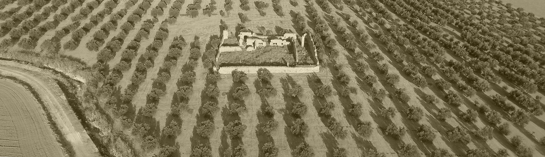 Vista aerea cortijo La Incosa